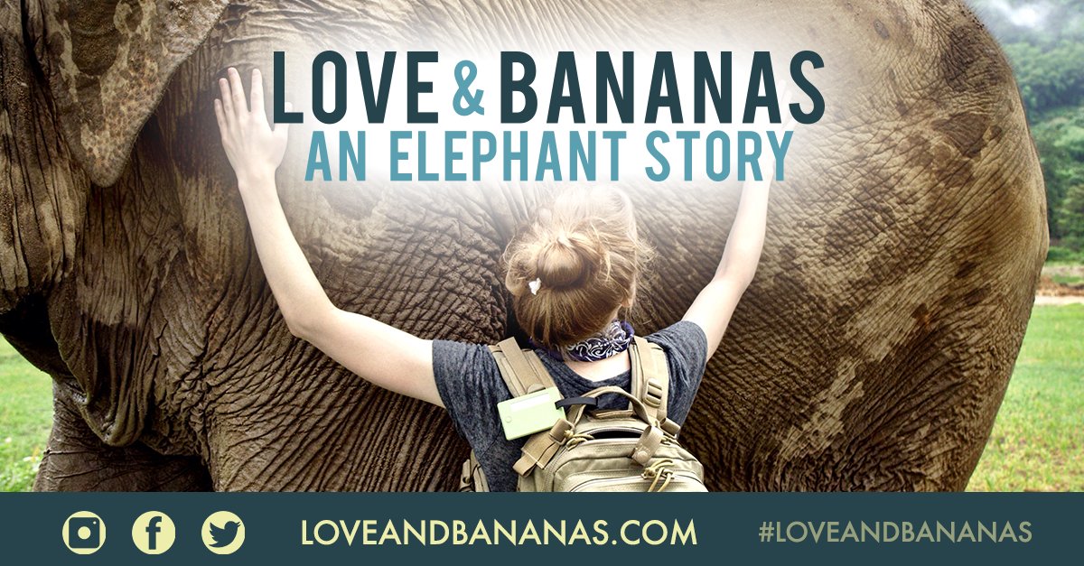Image: Love & Bananas, an Elephant Story